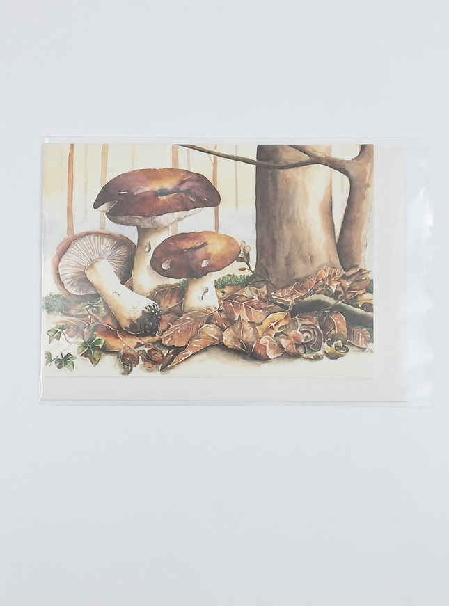 Wenskaart bruine paddestoelen