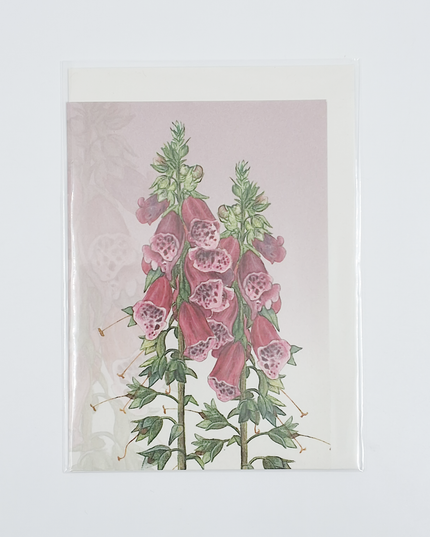 Wenskaart vingerhoedskruid