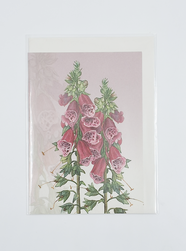 Wenskaart vingerhoedskruid