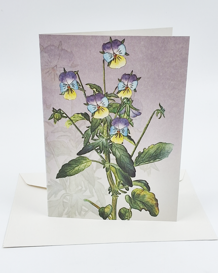 Wenskaart bosviooltje