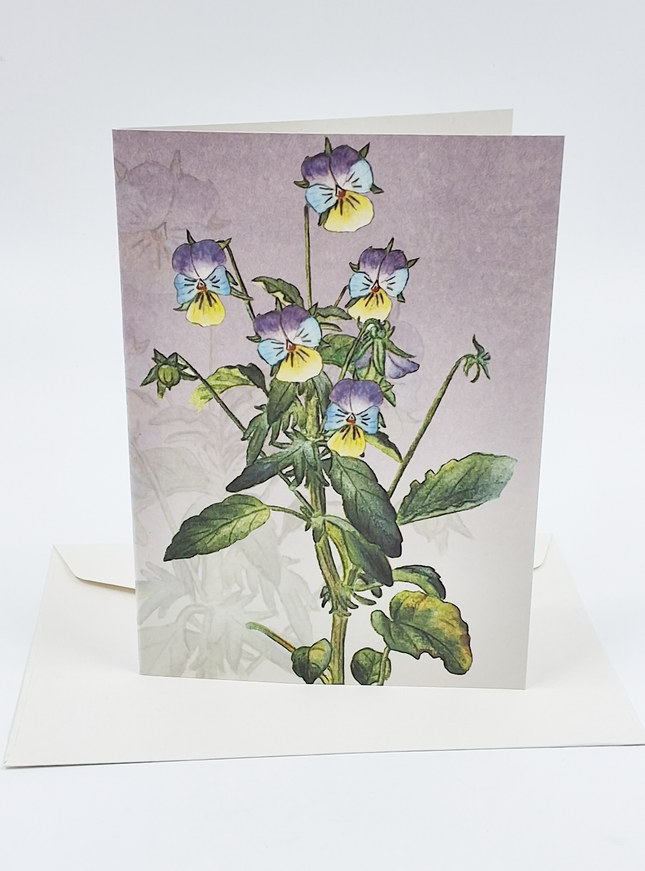 Wenskaart bosviooltje