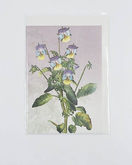 Wenskaart bosviooltje