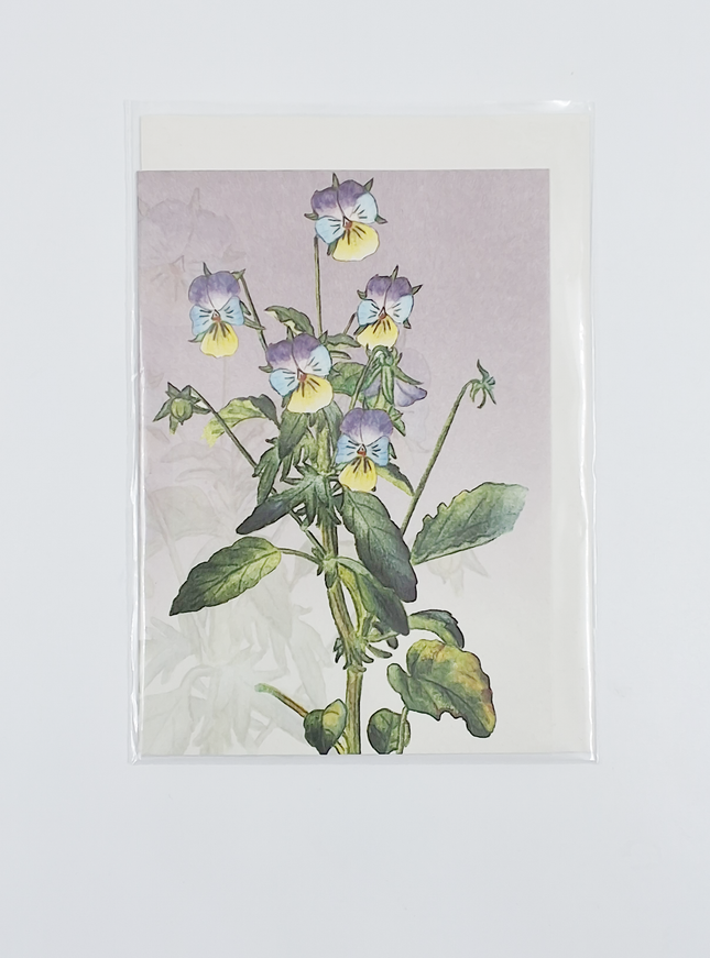 Wenskaart bosviooltje