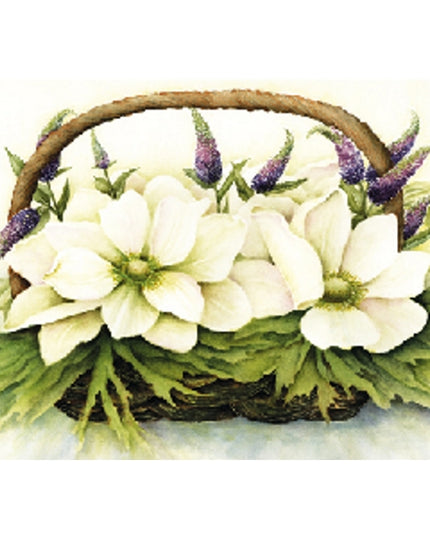 Wenskaart anemonen en veronica