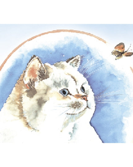 Wenskaart poes, vlinder