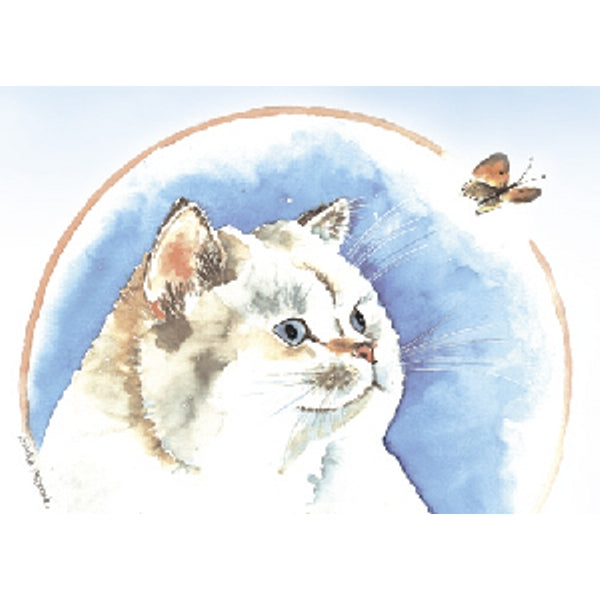 Wenskaart poes, vlinder
