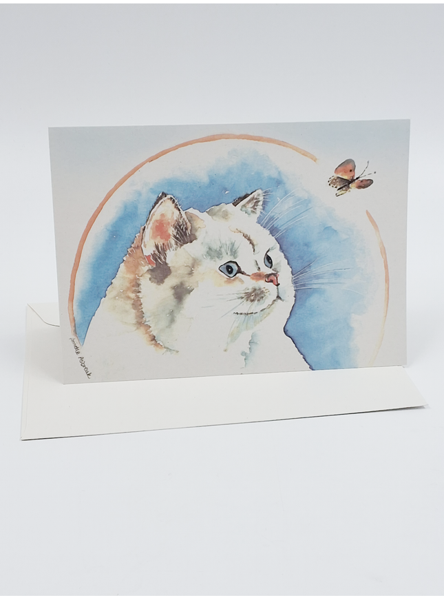 Greeting card cat, butterfly