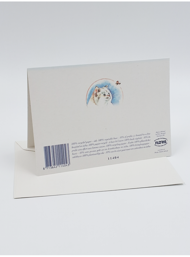 Greeting card cat, butterfly