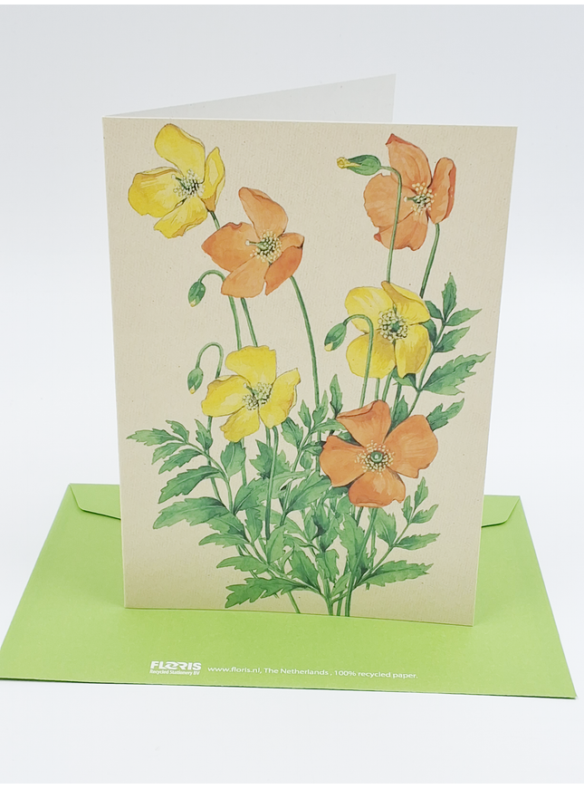 Ranunculus greeting card