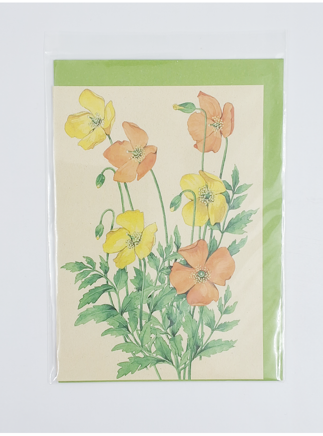 Ranunculus greeting card