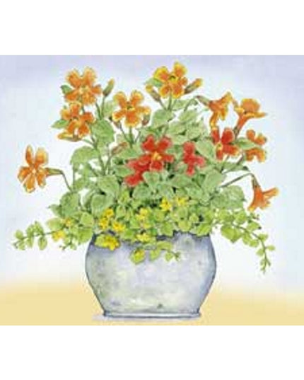 Wenskaart oranje/gele bloemen in pot