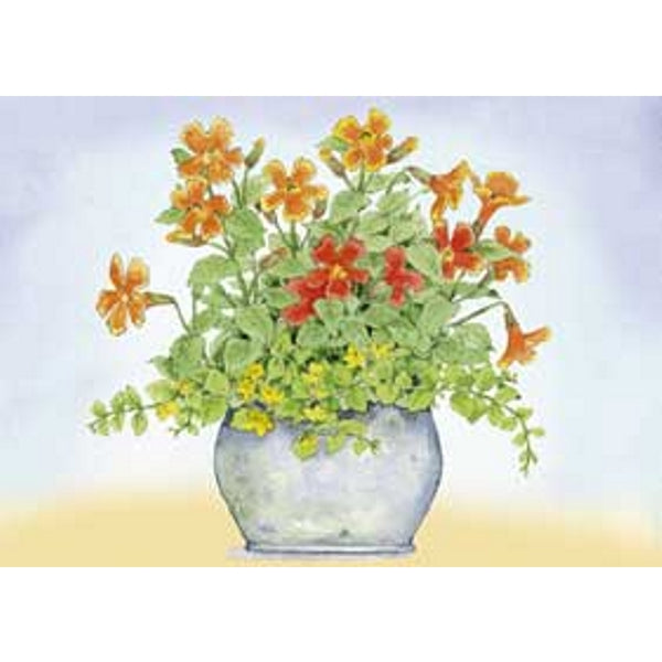 Wenskaart oranje/gele bloemen in pot