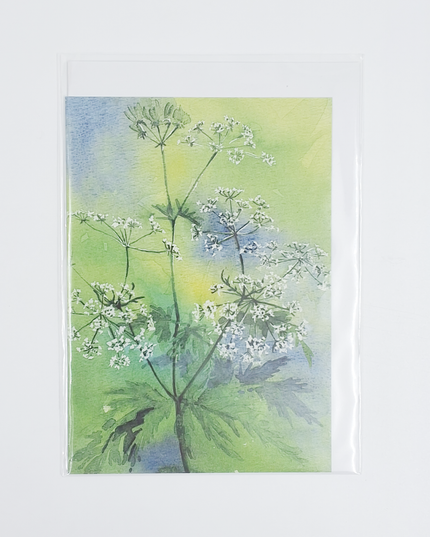 Wenskaart fluitekruid