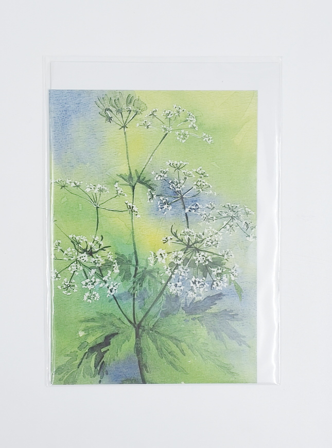 Wenskaart fluitekruid