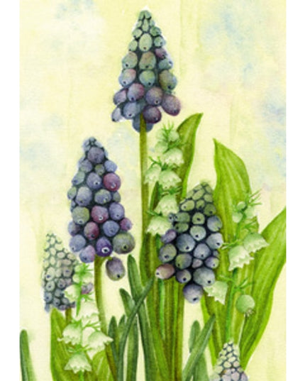 Wenskaart blauwe druifjes Muriël