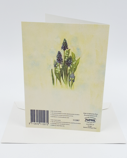 Wenskaart blauwe druifjes Muriël