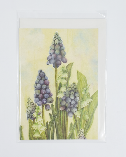 Wenskaart blauwe druifjes Muriël