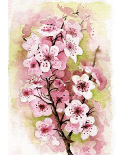 Wenskaart appelbloesem