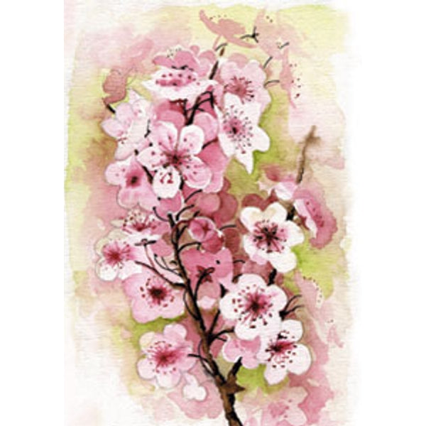 Wenskaart appelbloesem