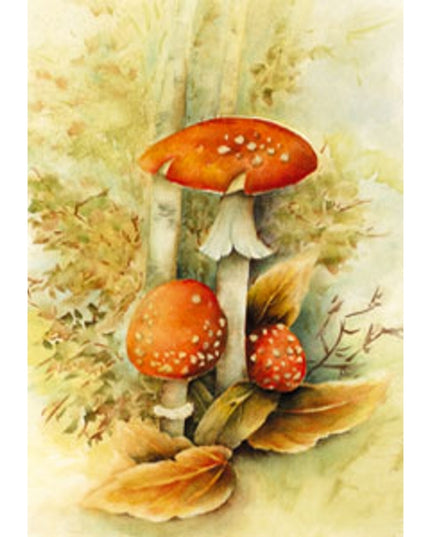 Wenskaart rode paddenstoelen Muriël
