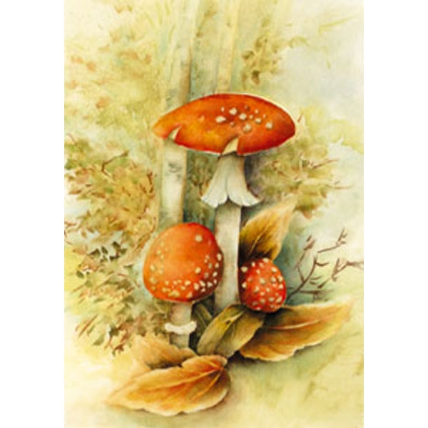 Wenskaart rode paddenstoelen Muriël