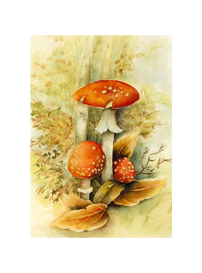 Greeting card red mushrooms Muriel