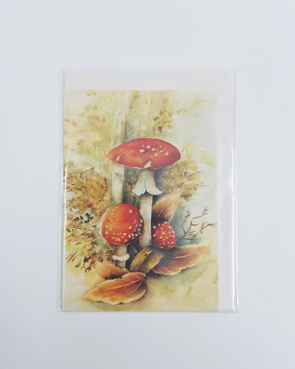 Wenskaart rode paddenstoelen Muriël