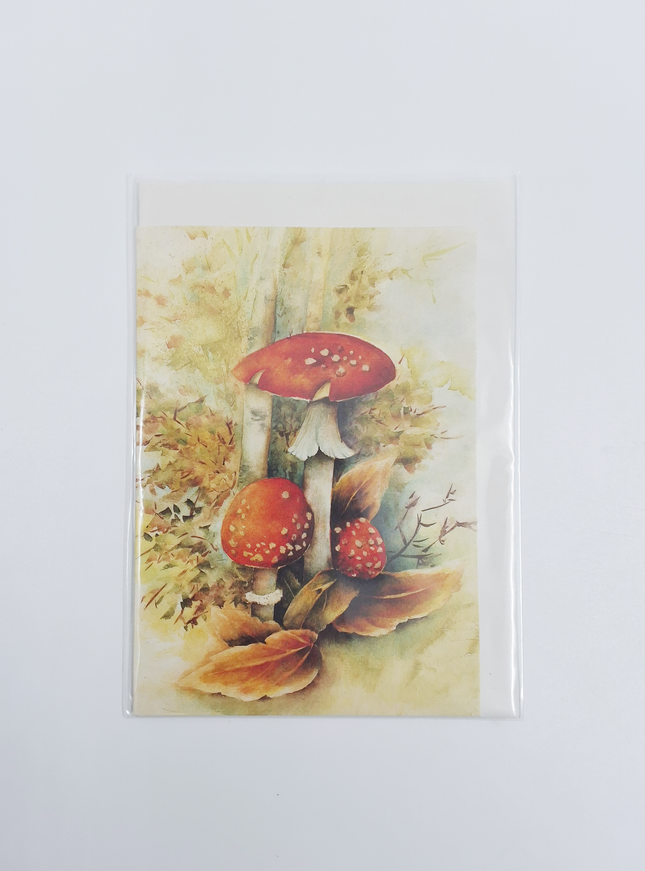 Wenskaart rode paddenstoelen Muriël