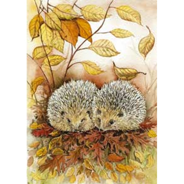 Wenskaart 2 egels Jeanine