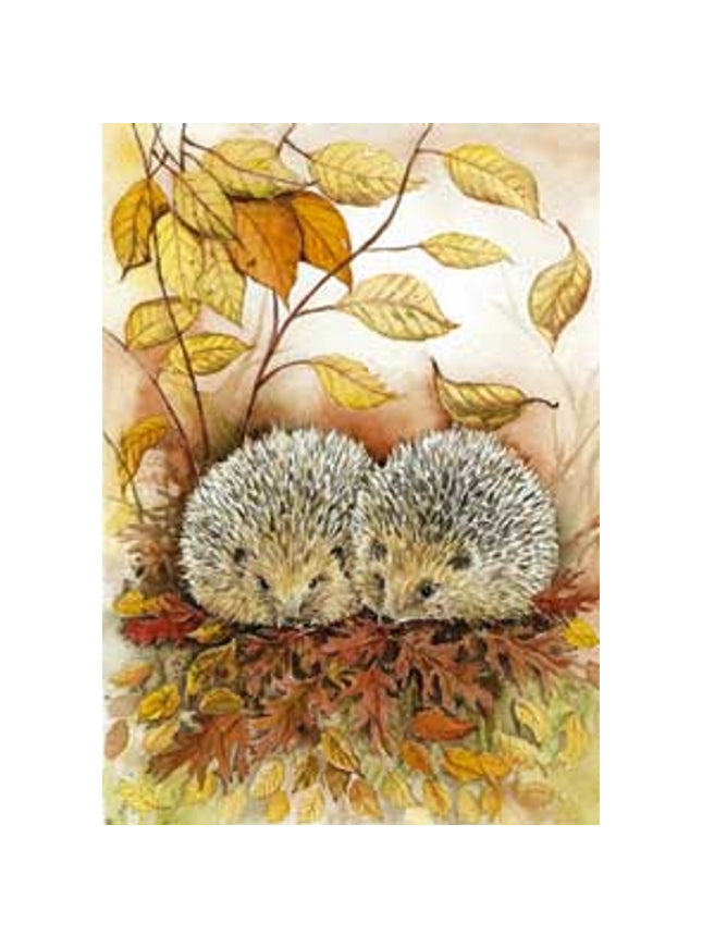 Wenskaart 2 egels Jeanine