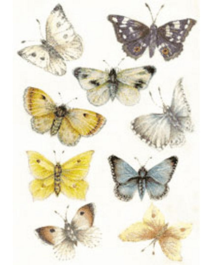 Wenskaart vlinders Muriël