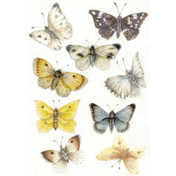 Wenskaart vlinders Muriël