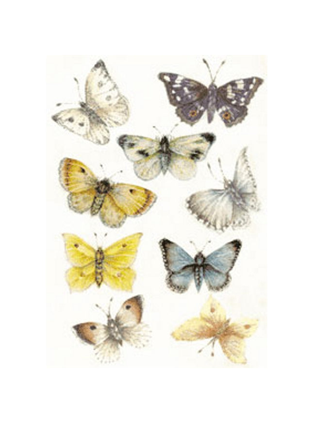 Wenskaart vlinders Muriël