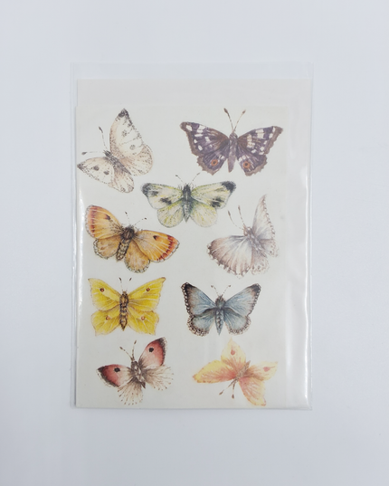 Wenskaart vlinders Muriël