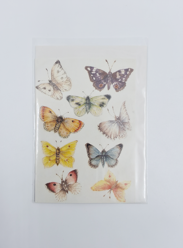 Wenskaart vlinders Muriël