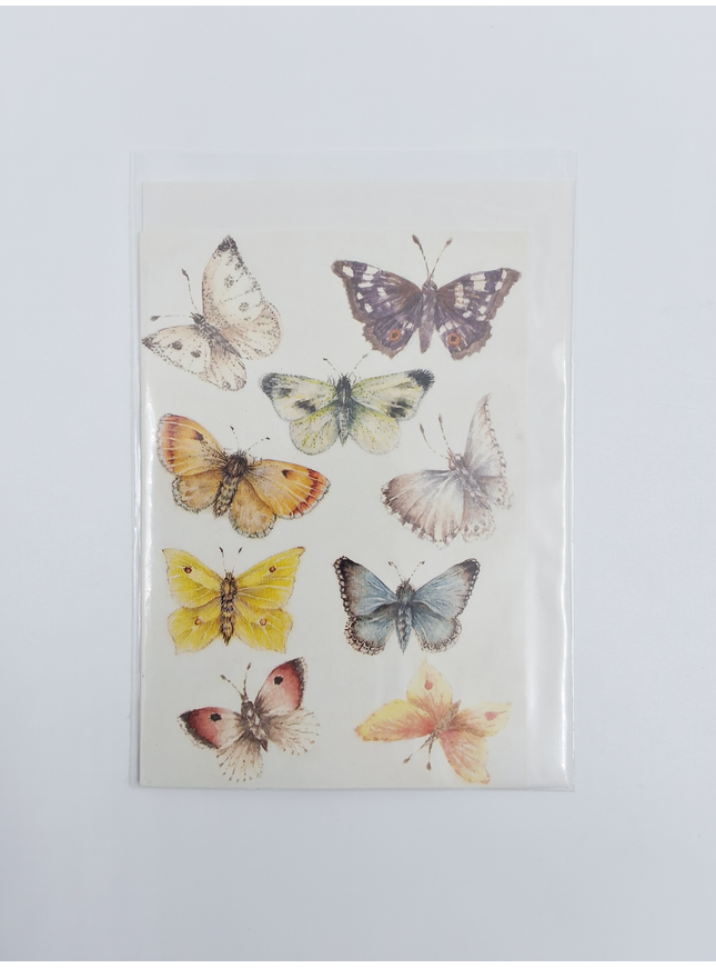 Wenskaart vlinders Muriël