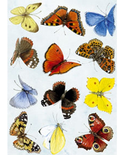 Wenskaart vlinders Annie