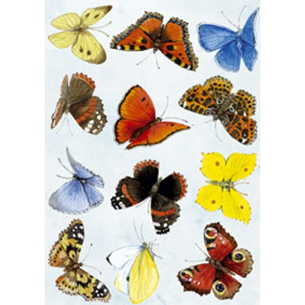 Wenskaart vlinders Annie