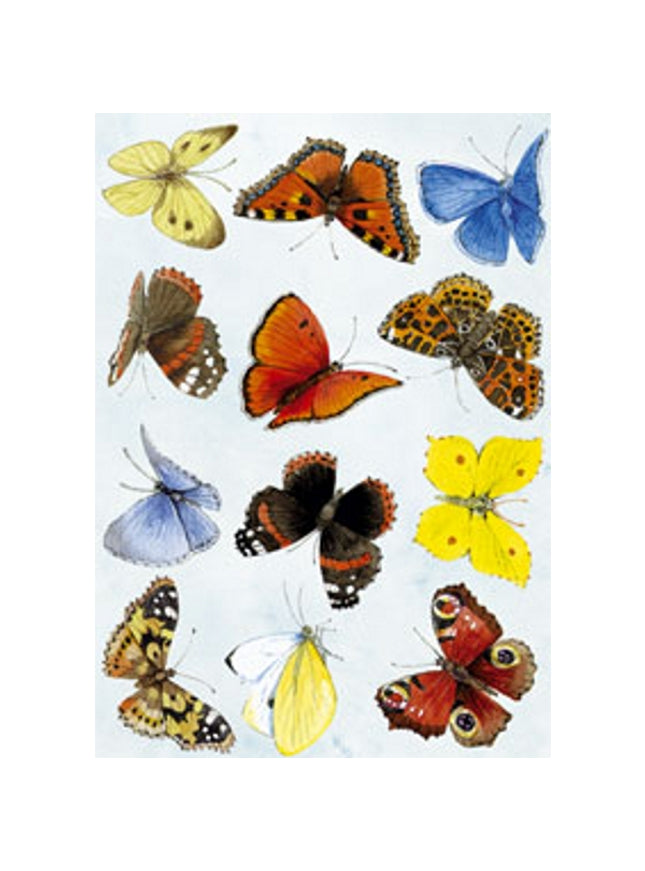 Wenskaart vlinders Annie