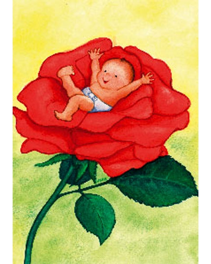 Wenskaart baby roos