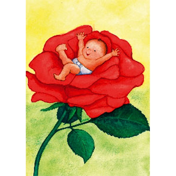 Wenskaart baby roos
