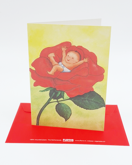 Wenskaart baby roos