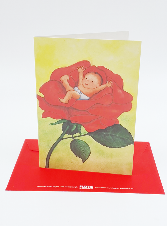 Wenskaart baby roos