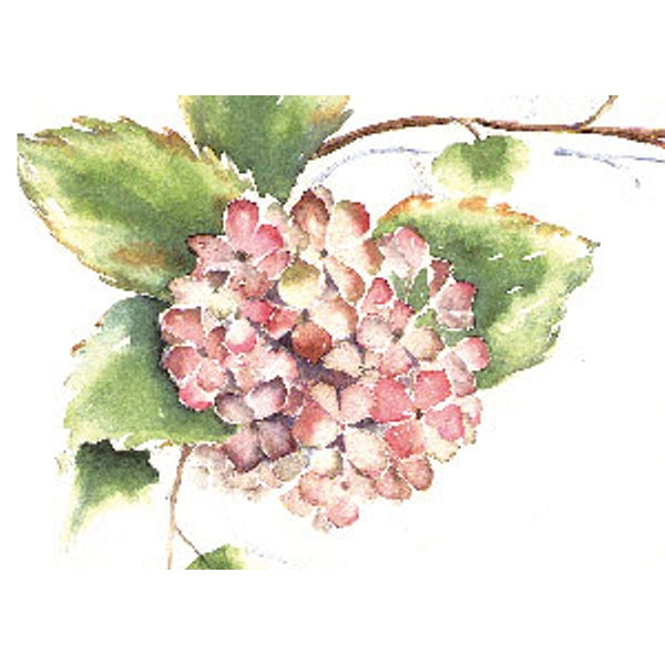 Wenskaart hortensia klimop