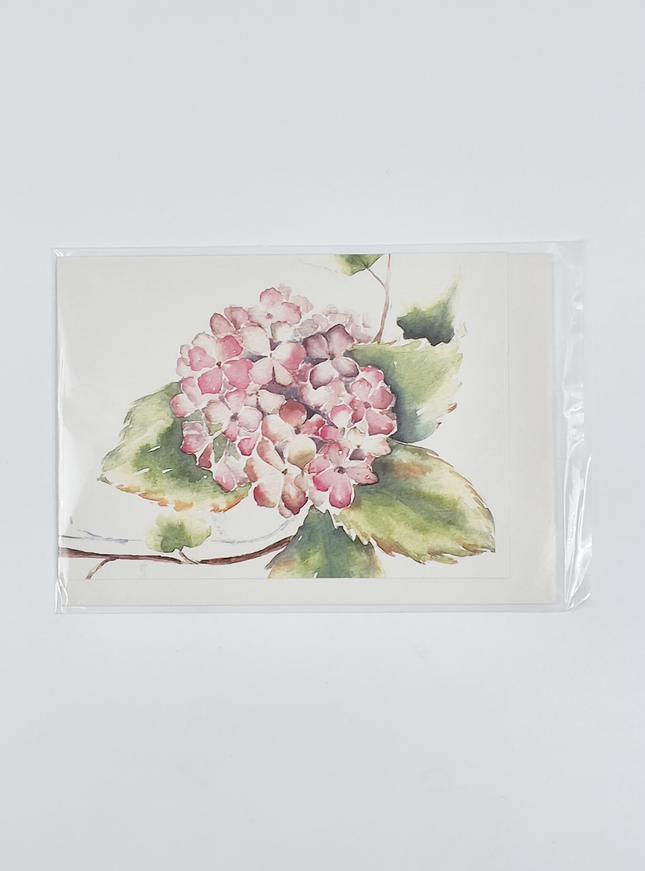 Wenskaart hortensia klimop