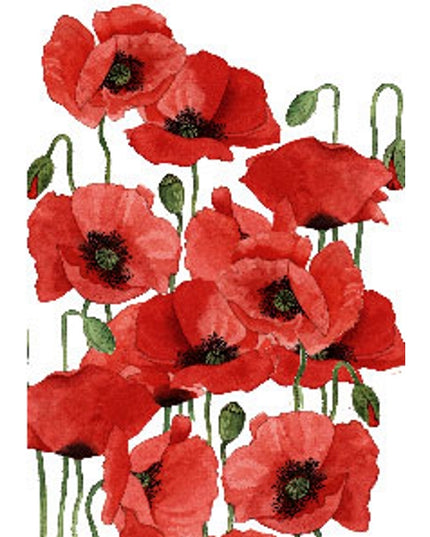 Wenskaart klaprozen Annie