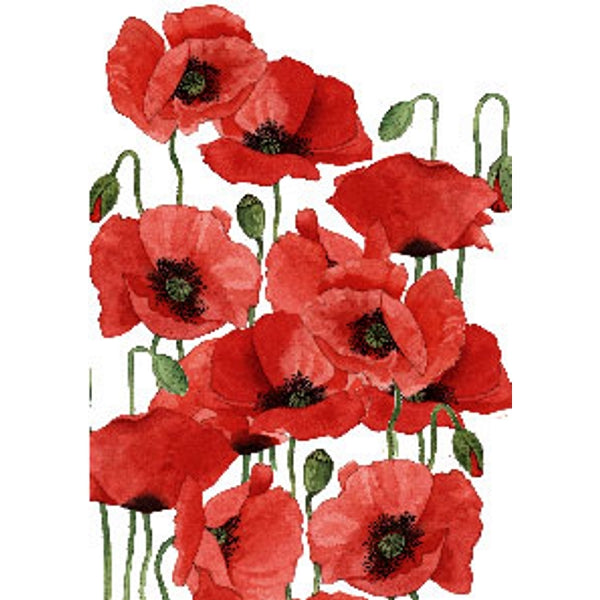 Wenskaart klaprozen Annie