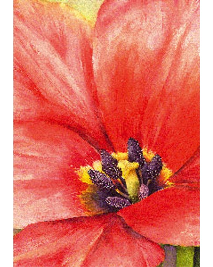 Wenskaart grote tulp