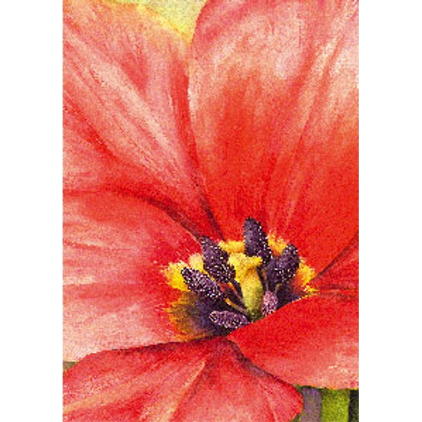 Wenskaart grote tulp