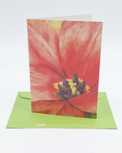 Wenskaart grote tulp